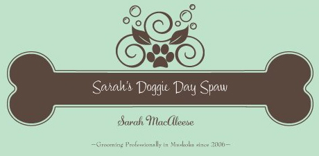 Sarah's Doggie Day Spaw