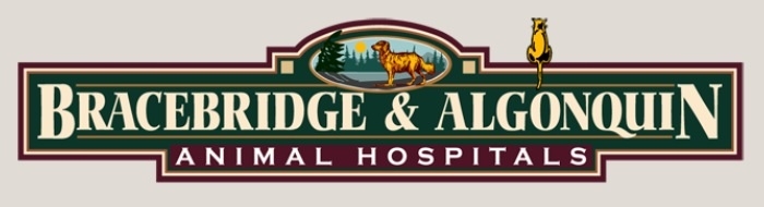 Bracebridge Animal Hospital