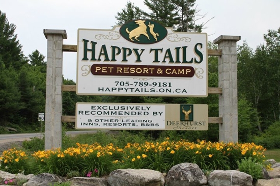 happy tails pet resort and camp
