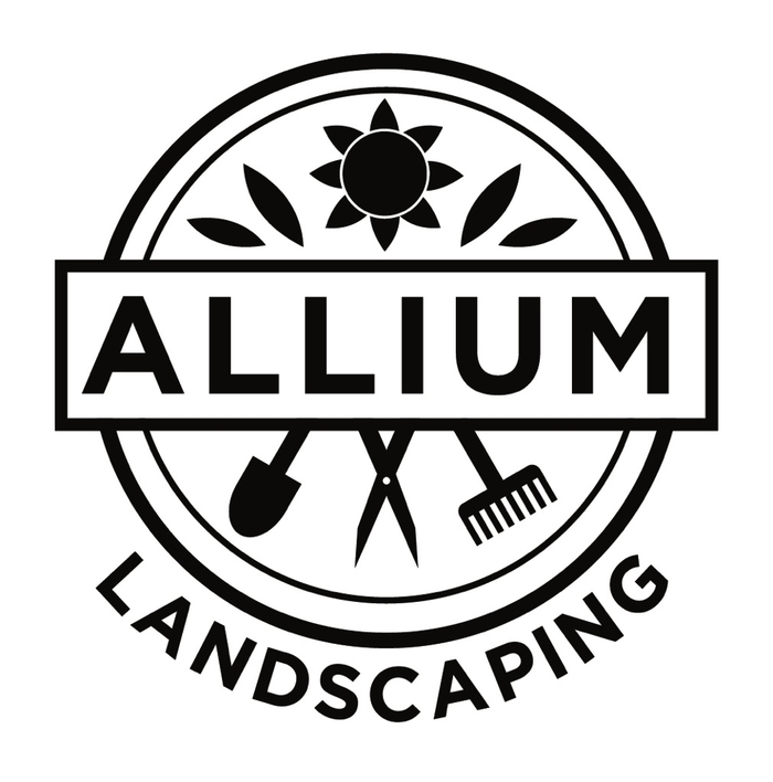 Allium Landscaping