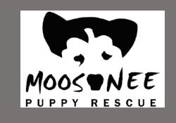 Moosonee Puppy Rescue
